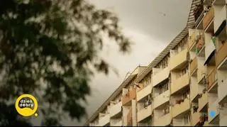 Mów “Dzień dobry” każdemu, kogo spotkasz
