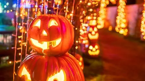 Halloween 2026 w Katowicach - atrakcje dla dorosłych i dzieci