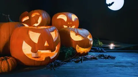 Halloween 2026 w Poznaniu - jakie atrakcje dla dorosłych i dzieci zaplanowano?