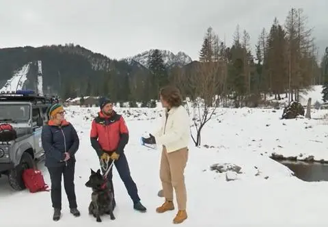 Psy, które zostały ratownikami. Jak wygląda ich szkolenie?