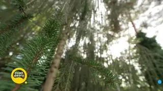 Inspirująca historia córki Papcia Chmiela 