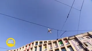 Do zobaczenia na estońskim wybrzeżu