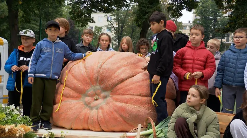 Hodowca dyniowych gigantów