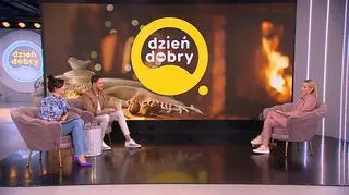Quiz z serialu „Brzydula” 