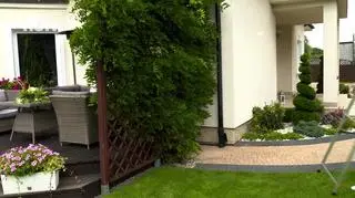 HGTV: Rośliny pnące. Jak przycinać wisterię?