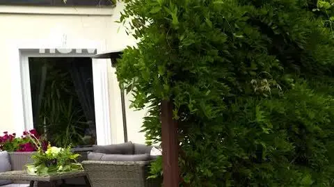 HGTV_NMWO_Wisteria