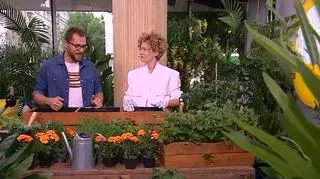 Łukasz Skop podpowiada jak zrobić ogród owocowy i warzywny w doniczce na balkonie lub tarasie