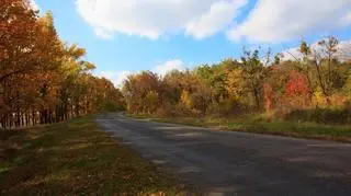 Pogoda na jutro. Gdzie będzie padać, a gdzie wyjrzy słońce?