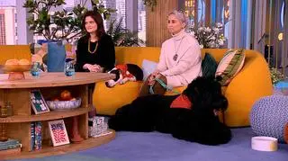 Psia krew na wagę złota 