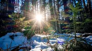 Pogoda na poniedziałek 6 lutego. Czy ten dzień będzie biały i mroźny?