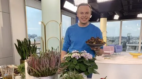 Podgrzybki w roli głównej, czyli smaki jesieni na talerzu. Sprawdzone przepisy Sebastiana Olmy  