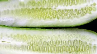 Ogórki kanapkowe w słoikach - prosty przepis