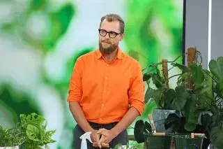 Moda na Monsterę "Monkey Mask"