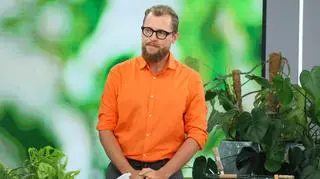 Monstera "Monkey Mask" coraz popularniejsza. Jak ją pielęgnować?