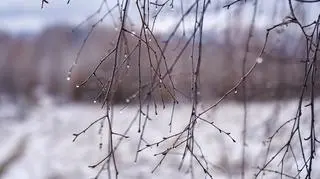 Pogoda na sobotę, 10 lutego. Nad Polskę napłynie ciepłe i wilgotne powietrze