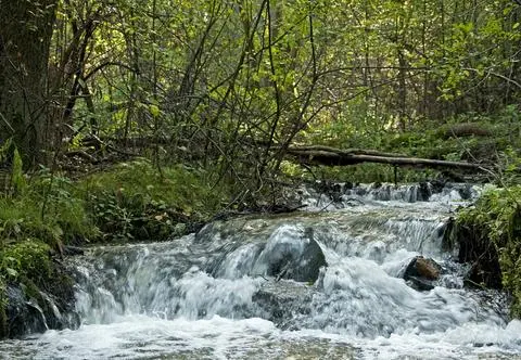 Roztoczański Park Narodowy – atrakcje turystyczne, szlaki i symbol parku