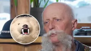 Podszywają się pod misia z Zakopanego. Tylko jeden jest prawdziwy