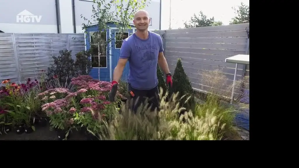 230808_HGTV_PNO_Brzoza