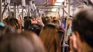 Światowy Dzień bez Samochodu 2023. Gdzie będzie darmowa komunikacja miejska?