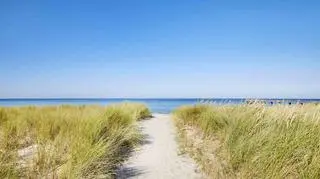 Wakacje w różnych terminach? Minister edukacji zabrał głos