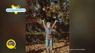 Pogodni TVN 