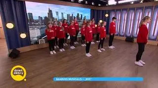 Baabus Musicalis - „NYC” 