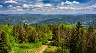 Jakie atrakcje oferuje nam Beskid Śląski? Najpiękniejsze szlaki i perełki architektury