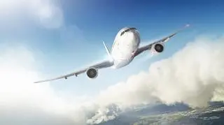 Kobieta próbowała otworzyć drzwi samolotu podczas lotu. Grozi jej 10 lat więzienia 