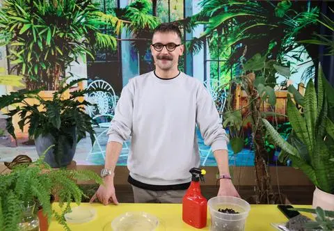 Ratowanie kwiatów w sezonie grzewczym. Jak pomóc im przetrwać zimę?