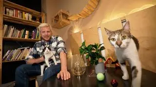 Co zrobić, aby kot nie zniszczył choinki? "Jest taki patent..."