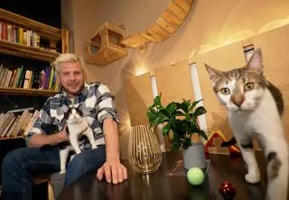 Co zrobić, aby kot nie zniszczył choinki? "Jest taki patent..."