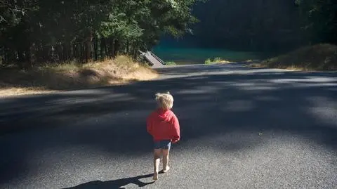 Mały chłopiec "spacerował" po drodze krajowej 
