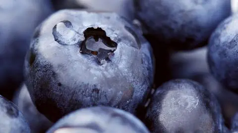 Ile kosztują jagody? Aktualna cena jagód zwala z nóg