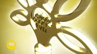 „Leśny kawaler” – zwycięzca pozytywki styczniowej 