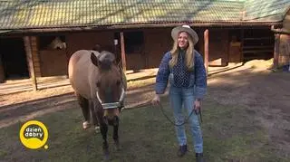 Spacer z koniem 