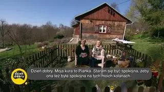 Kuroterapia (napisy)