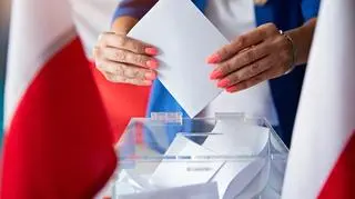 Wybory samorządowe 2024. Jak głosować?