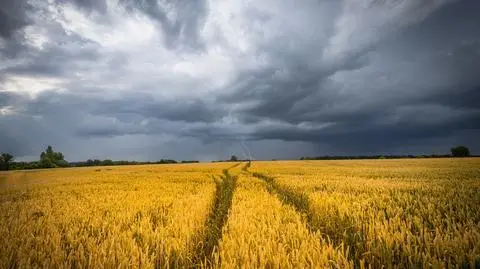 Pogoda na wtorek 25 lipca. Temperatura spadnie, a w kilku regionach będzie intensywnie padać