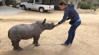 Polska dr Dolittle - poświęciła rodzinę dla dzikich zwierząt. Żałuje?
