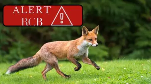 Alert RCB dla mieszkańców Mazowsza