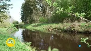 Blanka Lipińska pokazała nam swój dom w lesie (napisy)