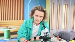 Jak walczyć z roztoczami? Jak często wymieniać pościel, ręczniki i gąbki do naczyń?
