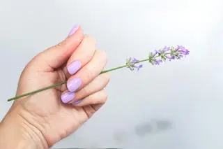Lawendowy manicure
