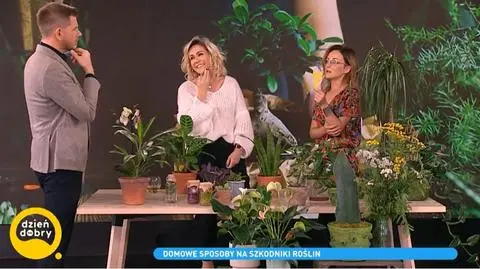 Filip Chajzer, Małgrzata Ohme, Anna Skorupska