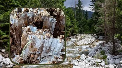 Tekst akapitu - 2024-04-19T155707