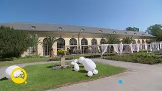 Historia miłości Omeny Mensah i Rafała Brzoski 
