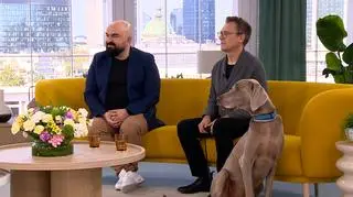 Kto kogo udomowił? Człowiek psa czy pies człowieka? 