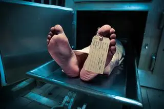 Jak wygląda praca specjalistów medycyny sądowej?