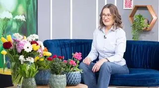 Czerwone tulipany, fioletowe irysy, a może peonie? Sprawdź swój horoskop kwiatowy