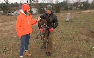 Igor Tracz szkoli psy